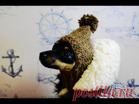 Как связать шапку для той-терьера