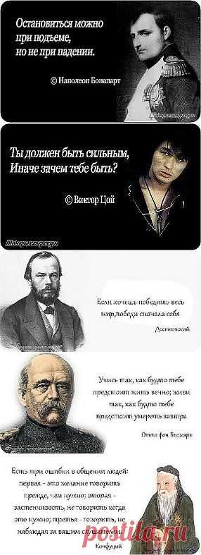 УМНЫЕ МЫСЛИ ВЕЛИКИХ ЛЮДЕЙ...