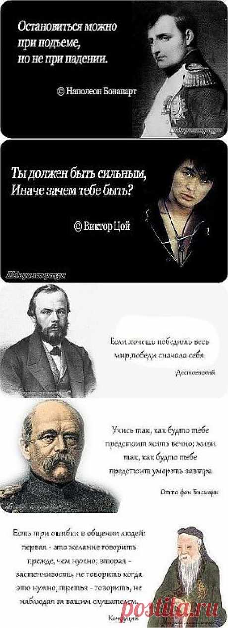 УМНЫЕ МЫСЛИ ВЕЛИКИХ ЛЮДЕЙ...