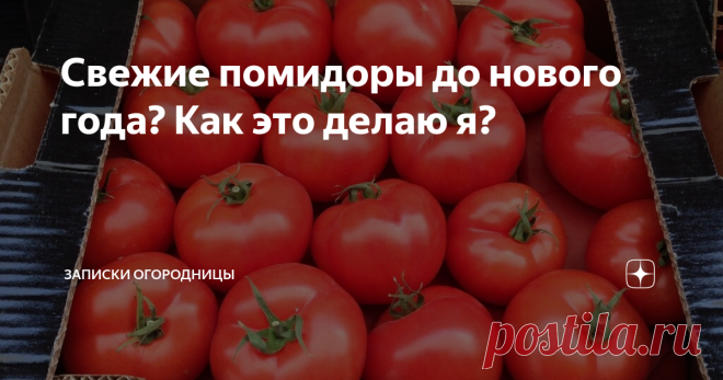 Свежие помидоры до нового года? Как это делаю я?