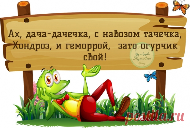 Празднику - быть ? - Садоводка