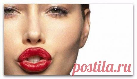 Развиваем дикцию / Основы бизнеса