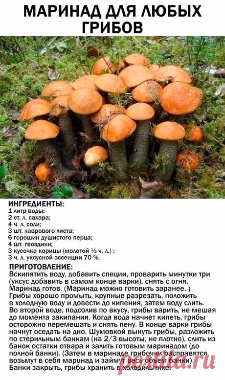 Маринад для любых грибов