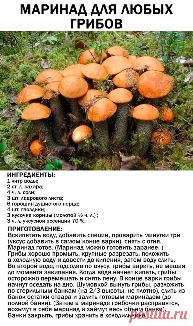Маринад для любых грибов