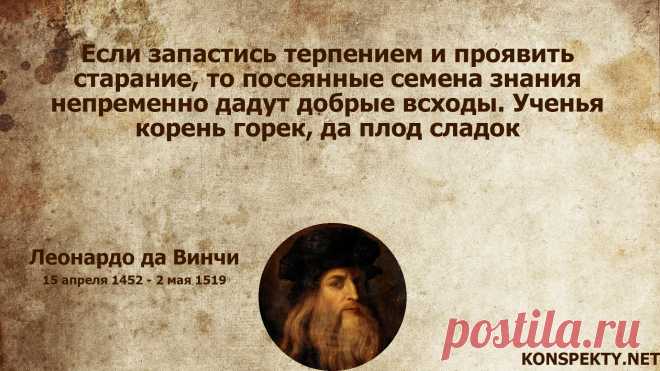 Если запастись терпением и проявить старание, то посеянные семена знания непременно дадут добрые всходы
#konspektynet, #цитаты, #высказывания, #афоризмы, #терпение, #успех, #цели, #ЛеонардодаВинчи, #труд