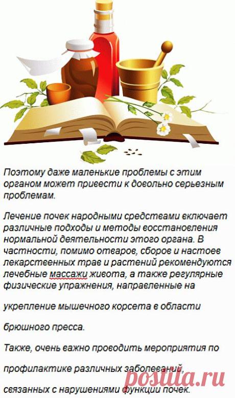 Лечим почки народными методами.