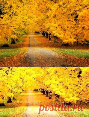 Одноклассники