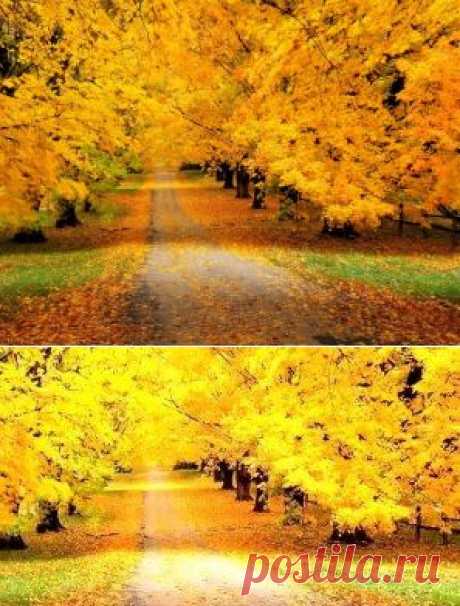 Одноклассники