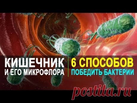 КАК ВОССТАНОВИТЬ МИКРОФЛОРУ КИШЕЧНИКА