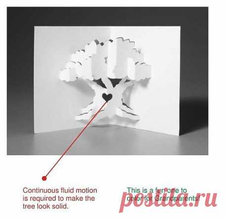 Фотографии на стене сообщества | 32 864 фотографии