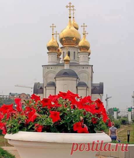 Михаил Горенский
72 года, Россия, Саяногорск