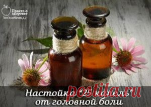 25 КАПЕЛЬ УТРОМ И ВЕЧЕРОМ | |