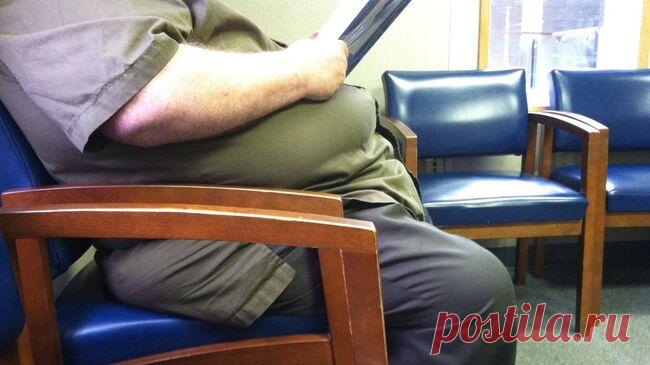 В России выросло число граждан от 19 лет, страдающих ожирением