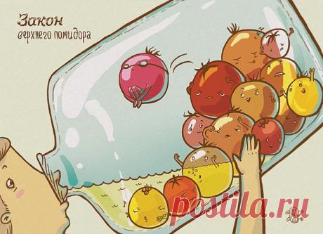 ЗАКОН «ВЕРХНЕГО ПОМИДОРА» И ЕЩЕ 36 ИРОНИЧНЫХ ЗАКОНОВ ЖИЗНИ | Мир женщины