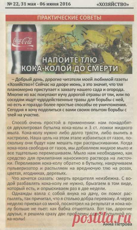 Кока-кола от тли