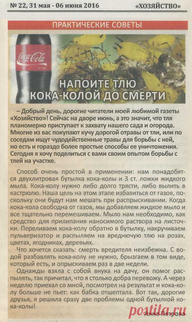 Кока-кола от тли