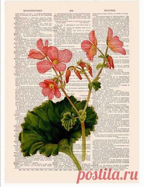 Скрапбукинг