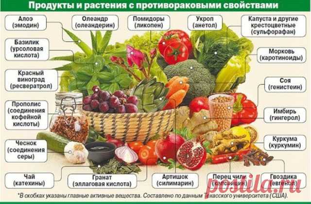 Прислала зам. онкоцентра после конференции по профилактике рака СКАЖИ «НЕТ!» - Зеркало