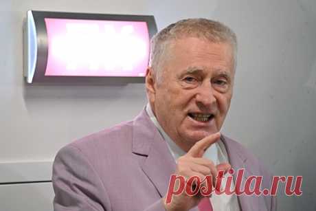 Жириновский оценил игру сборной России фразой «Бей своих, чтобы чужие боялись». Лидер ЛДПР Владимир Жириновский высказался о выступлении сборной России по футболу в отборочном турнире к чемпионату мира 2022 года. «Сами себе забили гол. Это символично: вместо того, чтобы громить противника — бей своих, чтобы чужие боялись», — оценил игру команды депутат.