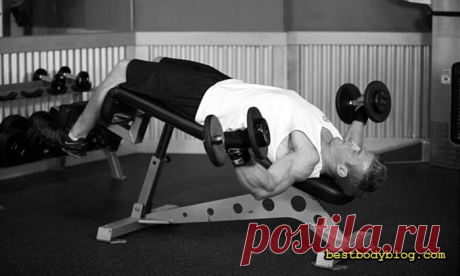 Разведения гантелей лежа. Лекарство от хилой груди | bestbodyblog.com