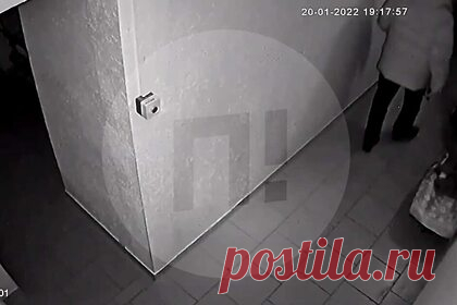Появилось новое видео с сопротивляющейся похищению женой чеченского экс-судьи. Похищение Заремы Мусаевой, жены бывшего судьи Верховного суда Чечни Сайди Янгулбаева, которое совершили вооруженные люди в гражданской одежде и в масках, сняли на камеру в подъезде ее дома в Нижнем Новгороде. На кадрах видно, как несколько мужчин выволакивают из квартиры сопротивляющуюся Мусаеву.