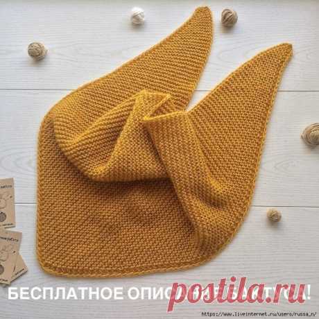 Бактус. Автор Марина Николаева