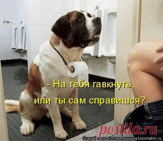 (99+) Одноклассники