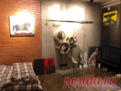 Комплекс для любимого кото-блогера, звезды инстаграма.
Стоимость:
Настенная капсула с полусферой CosmoWall - 1 шт. * 7.500 руб = 7.500 руб;
Сота CosmoCell - 2 шт. * 3.500 руб = 7.000 руб;
Показать полностью...