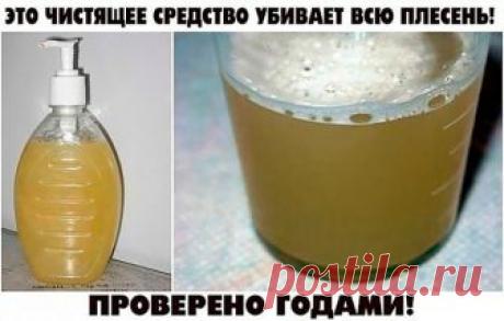 ЭТО ЧИСТЯЩЕЕ СРЕДСТВО УБИВАЕТ ВСЮ ПЛЕСЕНЬ! ПРОВЕРЕНО ГОДАМИ!

Всем советую! У нас старый дом и раньше постоянно заводилась плесень. Покупали дорогую химию, убирало, но ненадолго. По совету соседки сделали это средство и вот уже 4-й год плесени не видно! Держите рецепт:
• 2 ч. л. эфирного масла чайного дерева (для дезинфекции);
• 2 чашки воды.
1ч.л. спирта для растворения масла (на дно)
Залейте в пульверизатор ингредиенты, встряхните и брызгайте на проблемные зоны.

Срок хр...