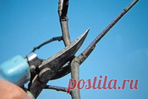 Продолжение ниже... ↓↓↓ ЖМИ ↓