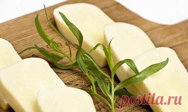 Низкокалорийный сыр собственного приготовления. 

Домашний сыр можно употреблять в пищу сразу же после приготовления как низкокалорийный продукт питания. Он наиболее вкусен в охлажденном виде, но срок хранения его ограничен одной неделей в условиях холодильника. Сыр домашнего приготовления, в отличие от заводского, не содержит консервантов, чем и объясняется его короткий срок хранения. 

Время приготовления: 30 мин. 
Порций: 2 

Вам потребуется: 

500г творога 0% натуральн...