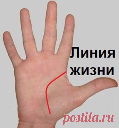 Хиромантия без цыганок: простые техники, доступные каждому!