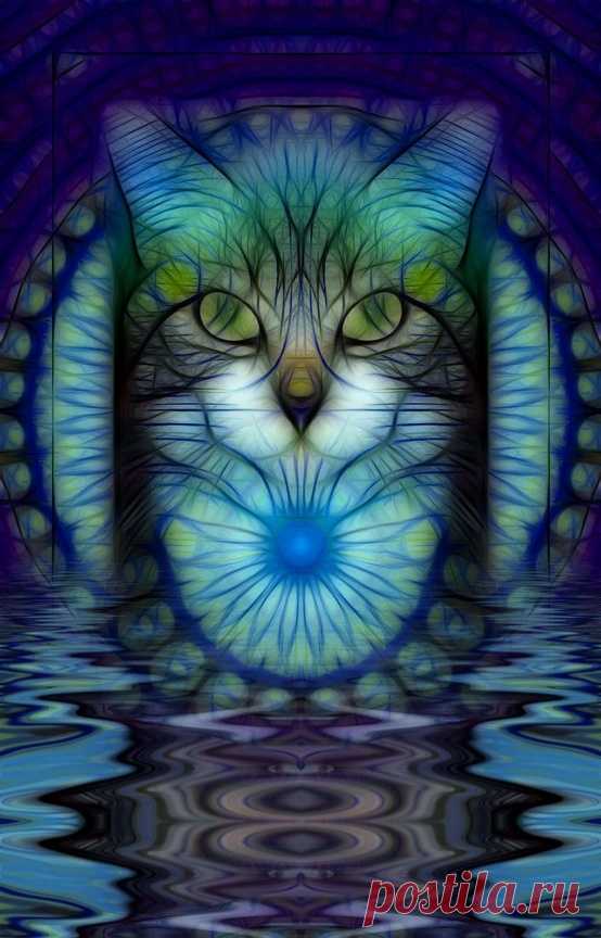 Tabby