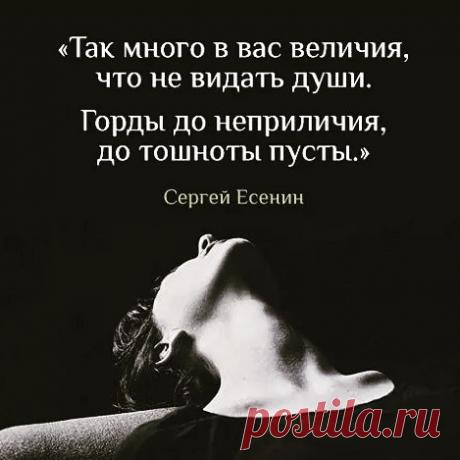 ♡ Добро ♡ пожаловать! ♡🔝 в Instagram: «#frazivsluh #крикдуши #статусы #слова #альтернативноемышление #нотымоейдуши #подуше #улыбнуло #юмор #приколы #територияадмина #философия…» 499 отметок «Нравится», 0 комментариев — ♡ Добро ♡ пожаловать! ♡🔝 (@frazivsluh) в Instagram: «#frazivsluh #крикдуши #статусы #слова #альтернативноемышление #нотымоейдуши #подуше #улыбнуло #юмор…»