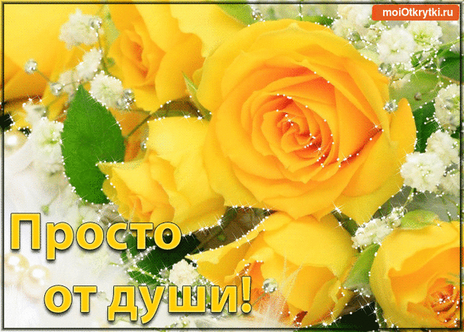 Прикольные и красивые поздравительные откытки - Бесплатно на https://moiotkrytki.ru