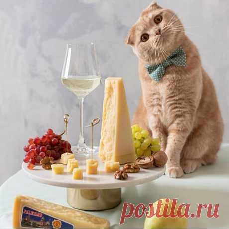 Не торопитесь, люди, жить, ловите каждое мгновение. Ведь каждый миг - благословение, чтоб восхищаться, и любить! Доброе утро!😊