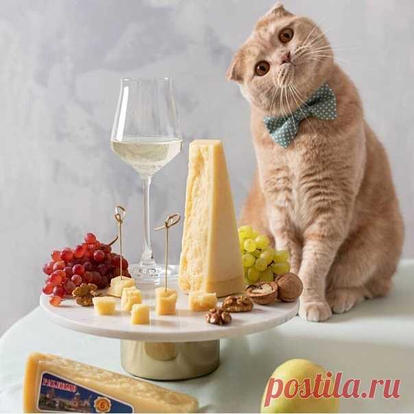 Не торопитесь, люди, жить, ловите каждое мгновение. Ведь каждый миг - благословение, чтоб восхищаться, и любить! Доброе утро!😊