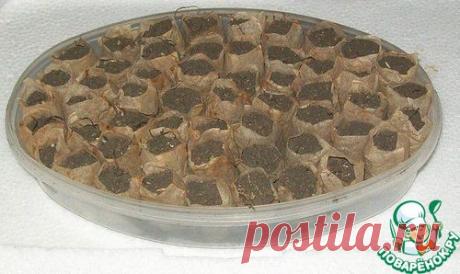 Удобный способ выращивания рассады