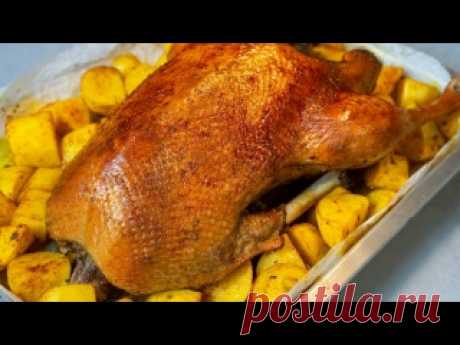 Запеченный ГУСЬ, который станет звездой вашего стола! Рецепт запеченного гуся Ингредиенты:➊ Гусь - 5.5 кгДля рассола: ➊ На 1 л воды - 1 ст.л. соли➋ Апельсиновый сок - 300 мл➌ Апельсин - 1 шт.Для намазки: ➊ Аджика - 2 ч.л.➋ Копченая паприка - 2 ч.л.➌ Чеснок - 2-3 зуб.➍ Кетчуп - 4 ст.л.➎ Растительное масло - 2 ст.л.Начинка для гуся - 3 апельсина Для картошки 2 кг:➊...