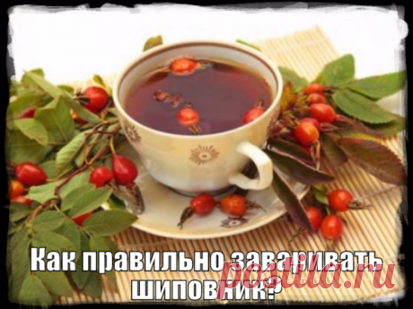 Как правильно заваривать шиповник?