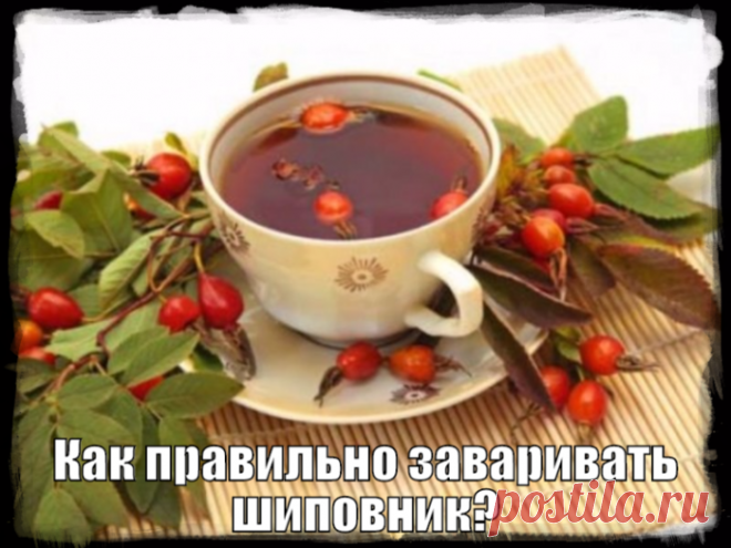 Как правильно заваривать шиповник?