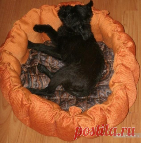 Лежанка для собак или кошек своими руками, мастеркласс