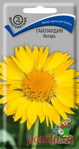 "Гайлардия. Янтарь"