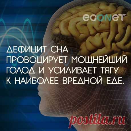 (77) Facebook