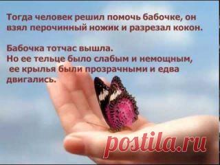 Работа для тех, кто готов много учиться и работать. Для тех у кого есть свободное время для того, что бы обеспечить себе уверенность в будущем. Работа информационно-рекламная. Обязательно иметь эл. почту и скайп
Уверенный пользователь интернета, знание поисковых систем рунета, социальных сетей.