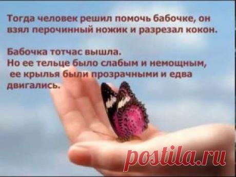 Работа для тех, кто готов много учиться и работать. Для тех у кого есть свободное время для того, что бы обеспечить себе уверенность в будущем. Работа информационно-рекламная. Обязательно иметь эл. почту и скайп
Уверенный пользователь интернета, знание поисковых систем рунета, социальных сетей.