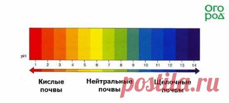 Кислотность почвы: определяем и регулируем | Почва и плодородие (Огород.ru)