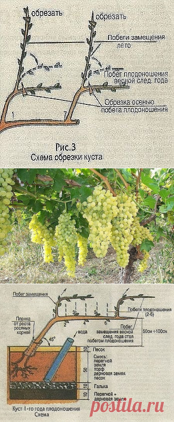 1 непрочитанный чат