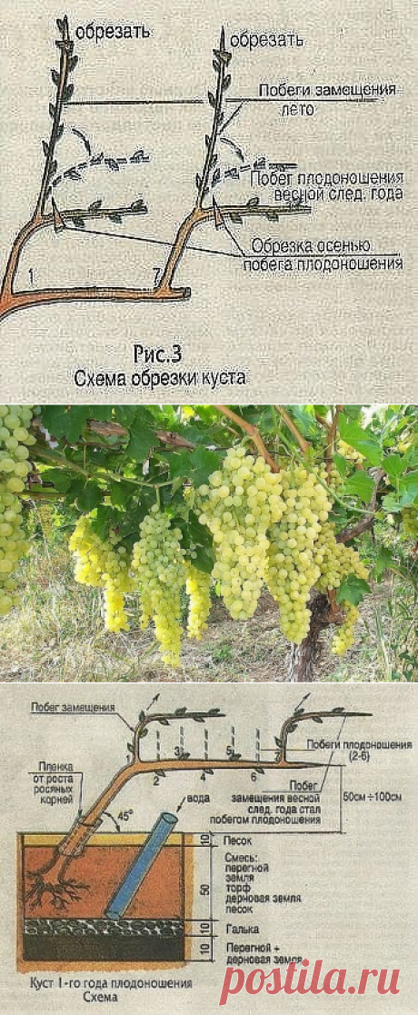 1 непрочитанный чат