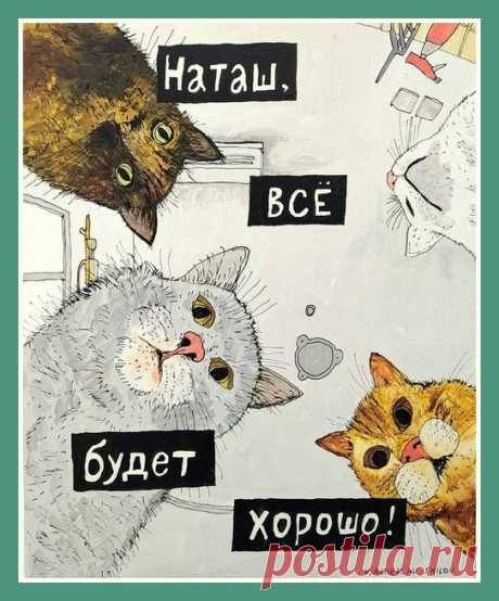 Знаменитые Наташины коты, сама Наташа и их путь к успеху | Следом за котом | Яндекс Дзен